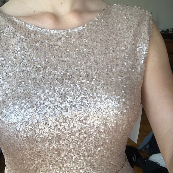 NWT Sequin dress in champagne gold fit and flare - Picture 4 of 8